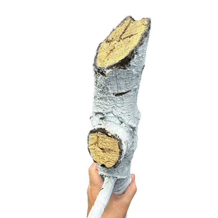 24 Inch Stunt Tree Wood Branch Flexible Foam Prop - Prop Money Inc.