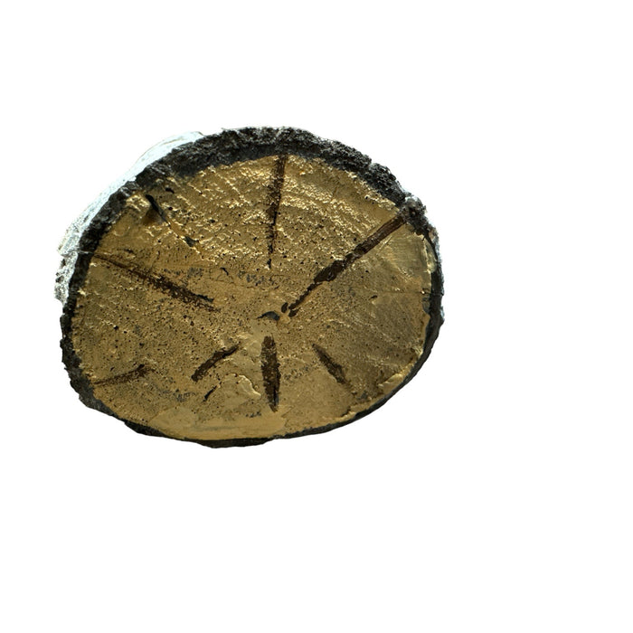 24 Inch Stunt Tree Wood Branch Flexible Foam Prop - Prop Money Inc.